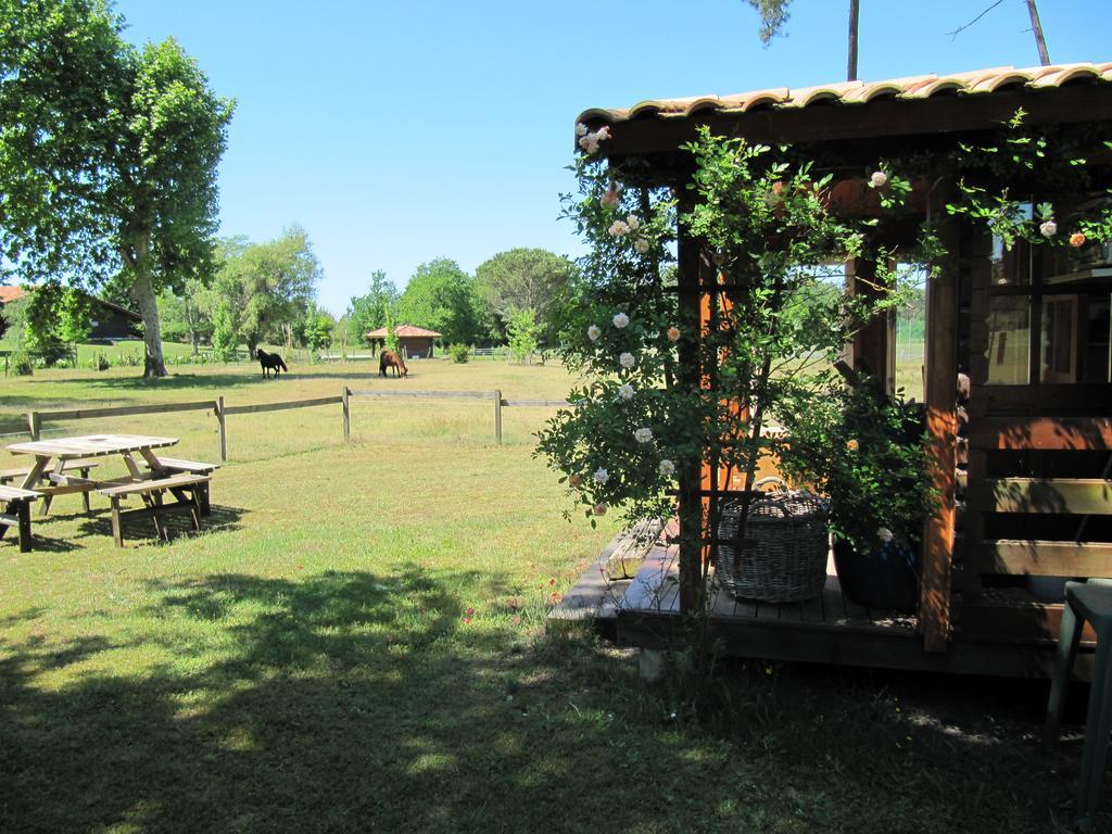 Gite Foret Landaise Sainte-Eulalie-en-Born Exterior foto